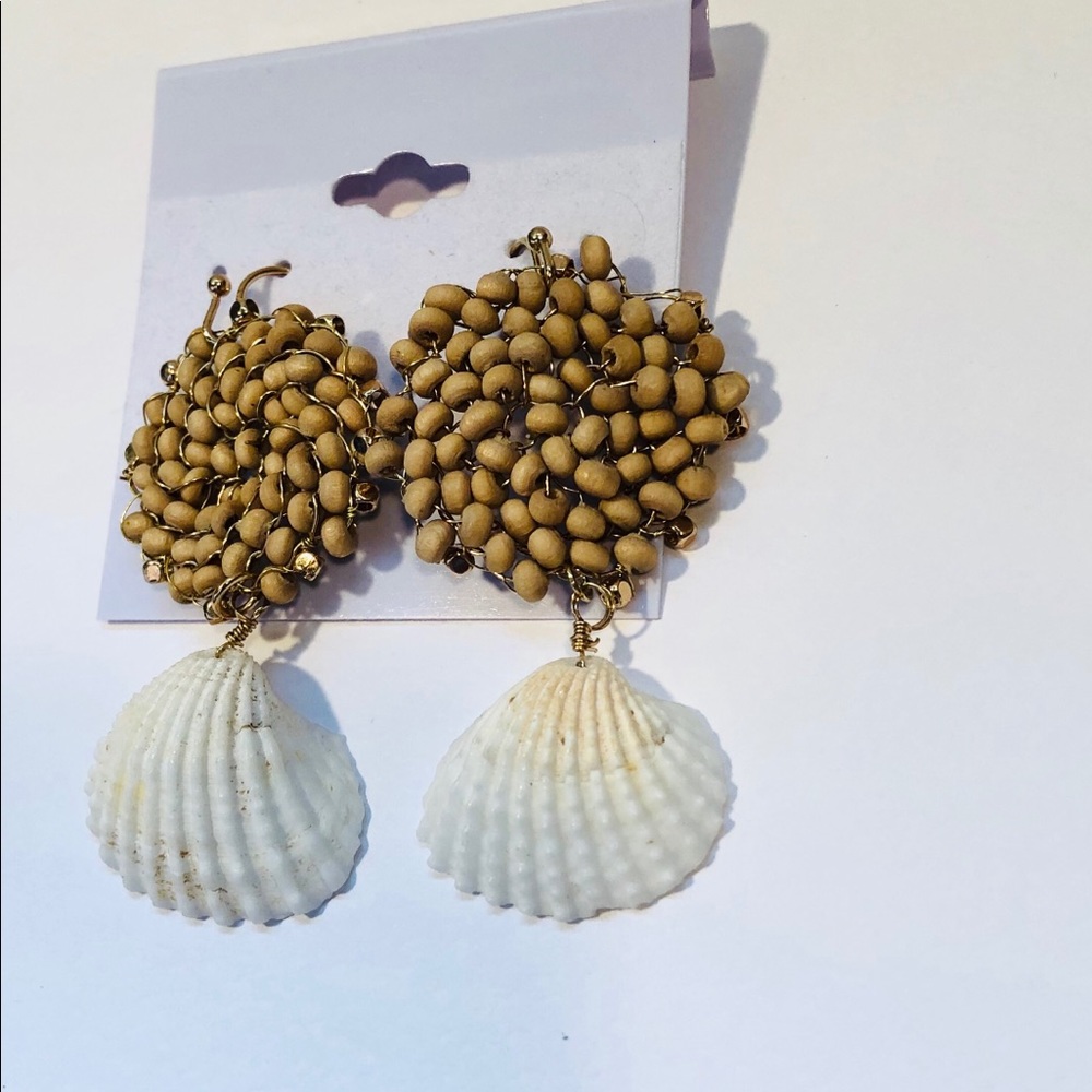 Savannah Seashells
